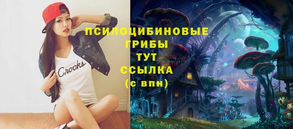хмурый Армянск