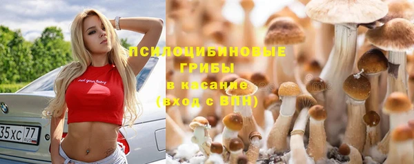 хмурый Армянск